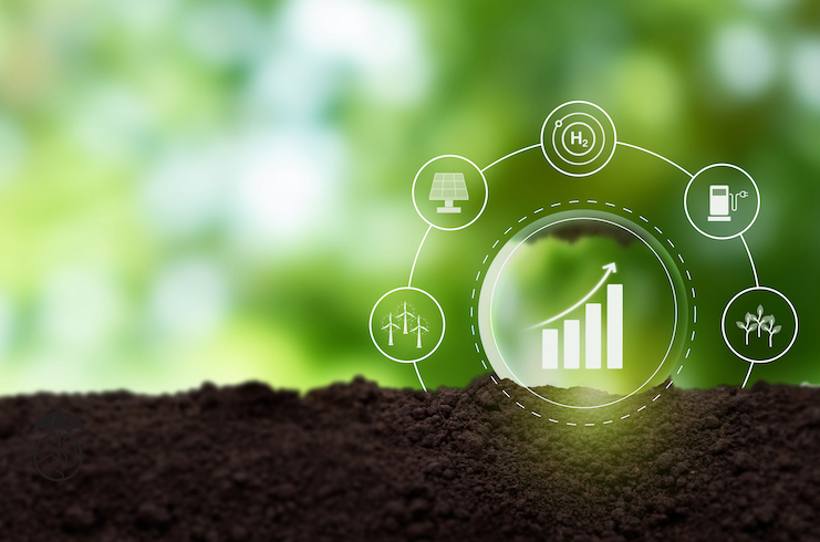 Staypineapple Companions With Procure Influence — LODGING