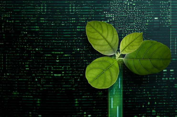 IHG Accommodations & Resorts Launches Low Carbon Pioneers Program