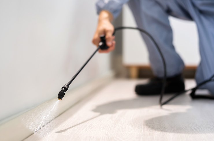 8 Professional Ideas for a Pest-Free Property — LODGING