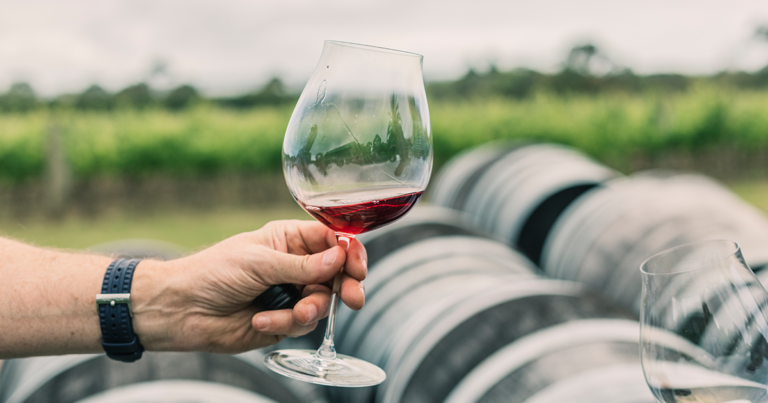 PM expects wine exports to China to renew – hospitality