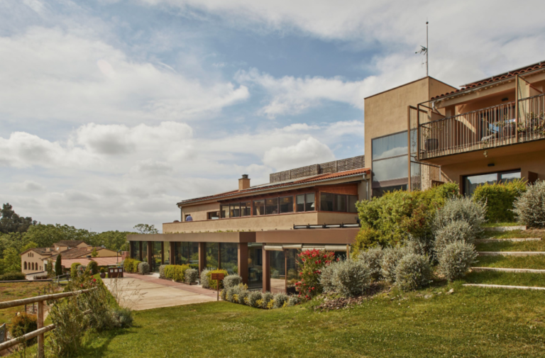 Past Inexperienced provides seven international members