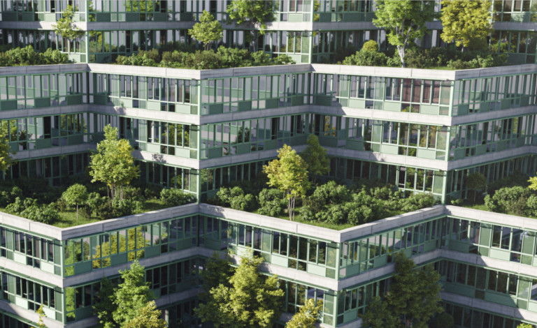 Most well-liked Journey Group outlines internet zero targets