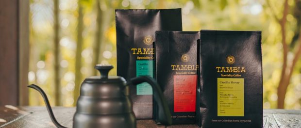 Tambia presents a brand new feel and appear impressed by its Colombian origins