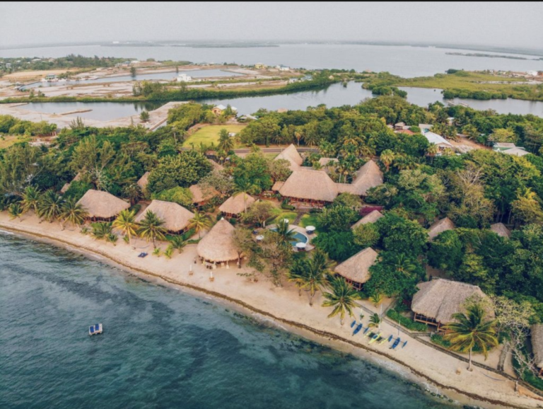 Past Inexperienced expands into Sweden and Mozambique