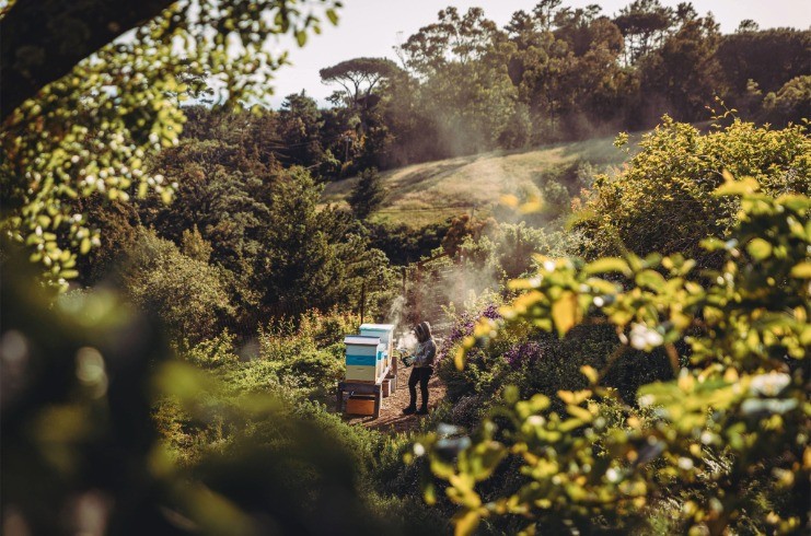 Alila Launches ‘A World Awaits’ Marketing campaign — LODGING