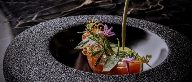 BEAR by Carlo Scotto opens in Beaconsfield