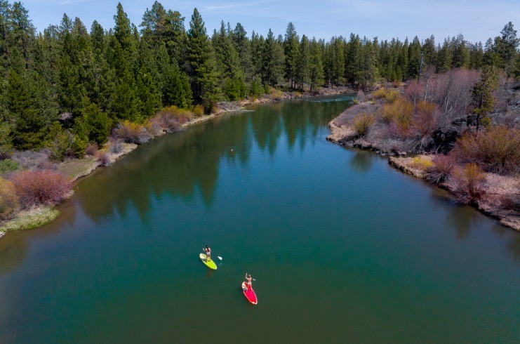 SCP Motels Declares Launch of Wild Wellness — LODGING